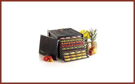 7 Best Dehydrators For Fruit .